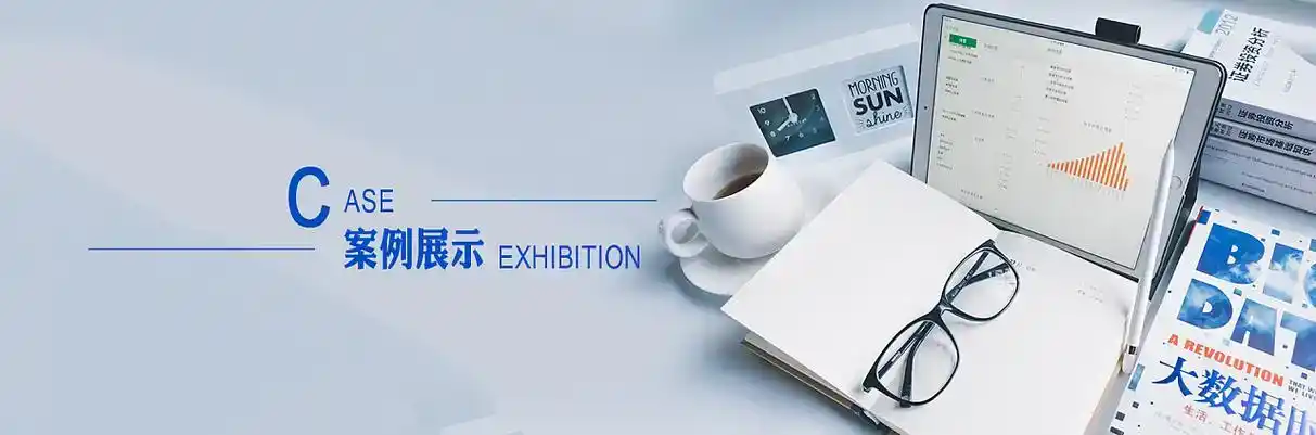 扶沟县软件开发
